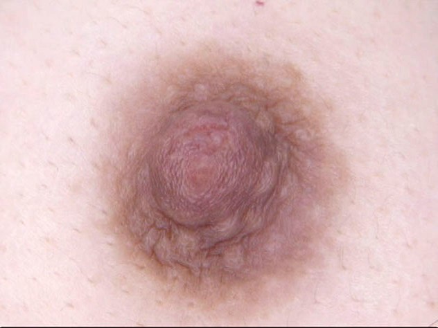 GA-294 第 14 部分 - 95 分钟