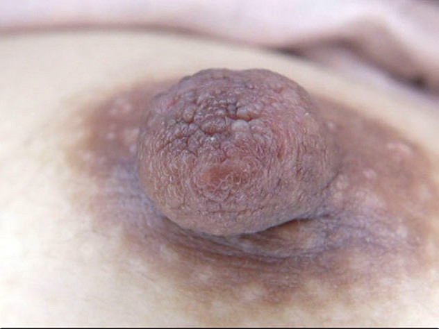 GA-294 パート 15 - 100 分