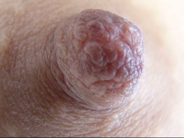 GA-294 パート 6 - 55 分