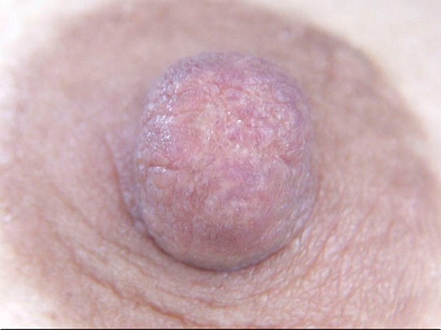 GA-294 パート 7 - 60 分