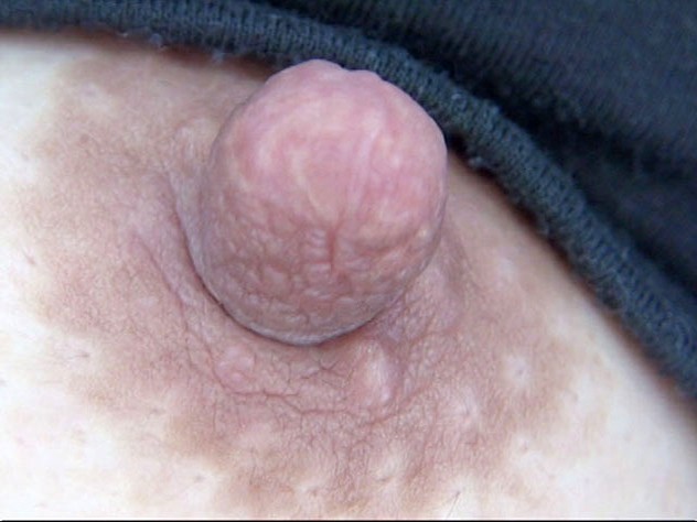 GA-294 パート 8 - 65 分