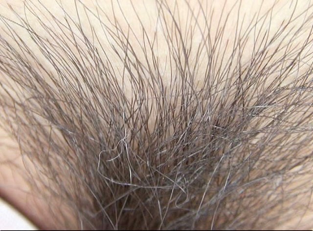 GA-299 Bagian 16 - 90 minit