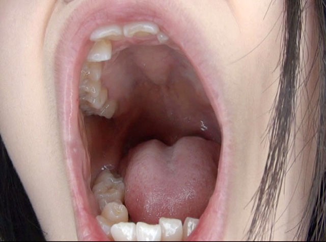 GA-300 パート 7 - 54 分