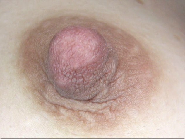 GA-304 第 14 部分 - 82 分钟