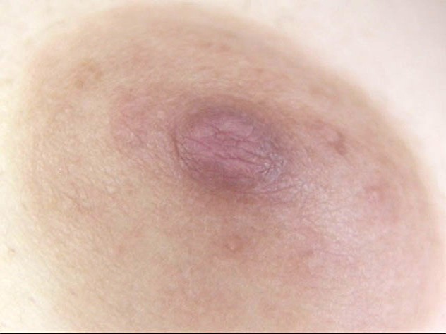 GA-304 第 18 部分 - 98 分钟