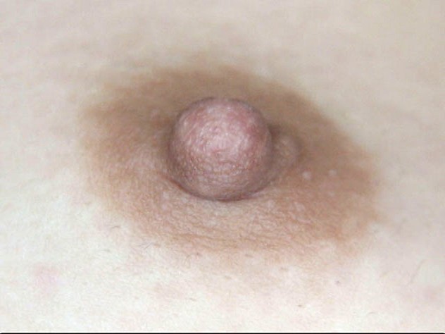 GA-304 第 2 部分 - 34 分钟