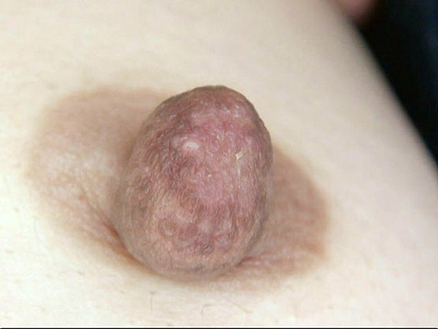 GA-304 第 8 部分 - 58 分钟