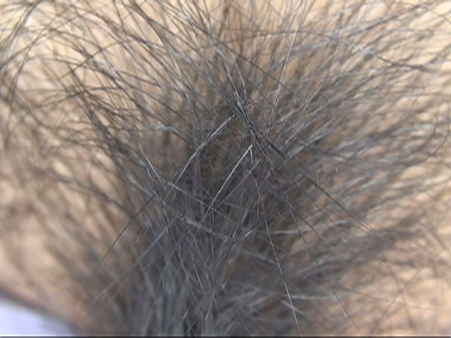 GA-306 第 12 部分 - 74 分钟