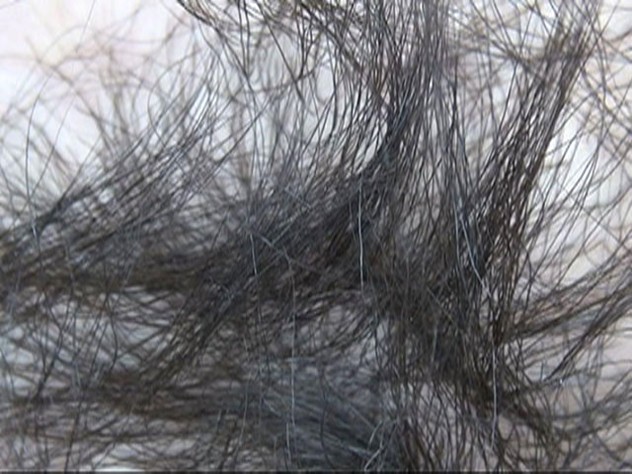 GA-306 第 5 部分 - 46 分钟