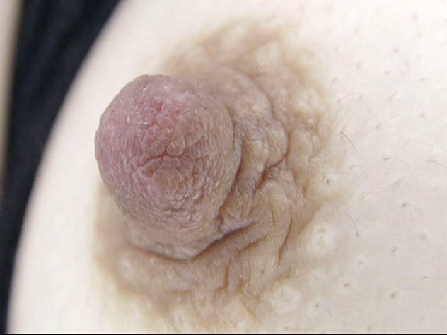 GA-313 第 10 部分 - 66 分钟