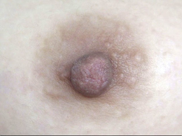 GA-313 第 16 部分 - 90 分钟