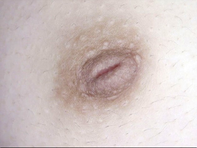 GA-313 第 3 部分 - 38 分钟