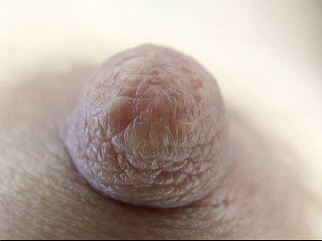 GA-313 第 4 部分 - 42 分钟