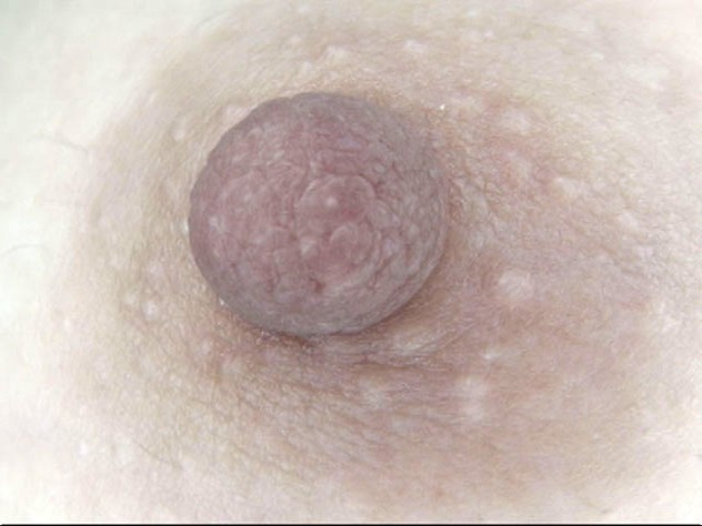 GA-313 第 6 部分 - 50 分钟