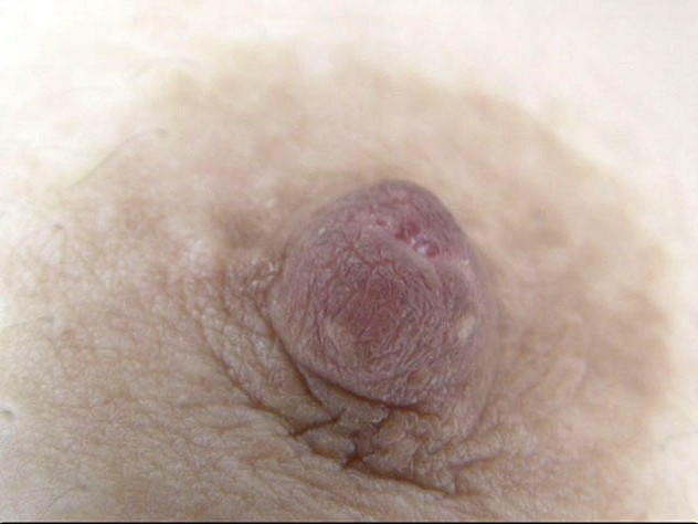 GA-313 第 7 部分 - 54 分钟