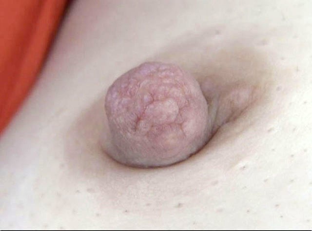 GA-321 パート 1 - 30 分