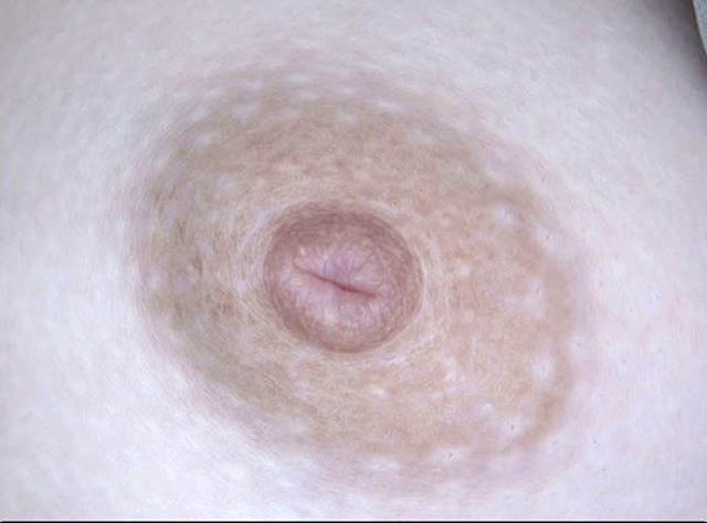 GA-321 パート 10 - 66 分