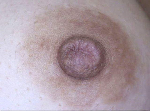 GA-321 パート 11 - 70 分