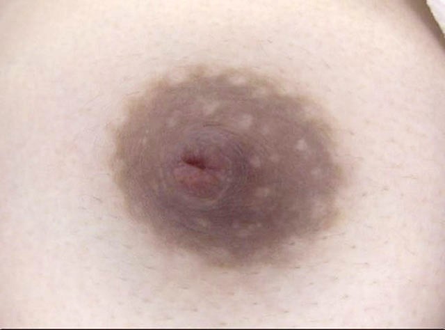 GA-321 第 14 部分 - 82 分钟