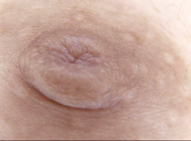 GA-321 パート 4 - 42 分