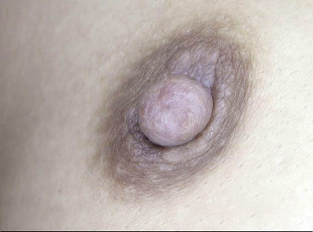 GA-321 第 8 部分 - 58 分钟