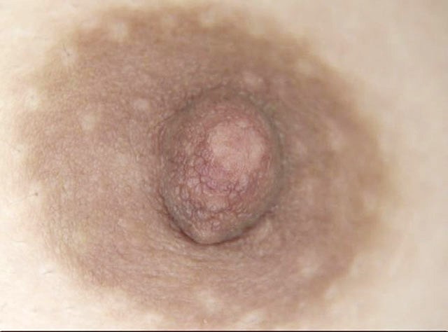 GA-321 パート 9 - 62 分