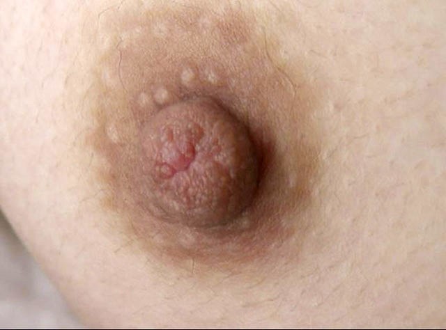 GA-327 Bagian 11 - 70 minit