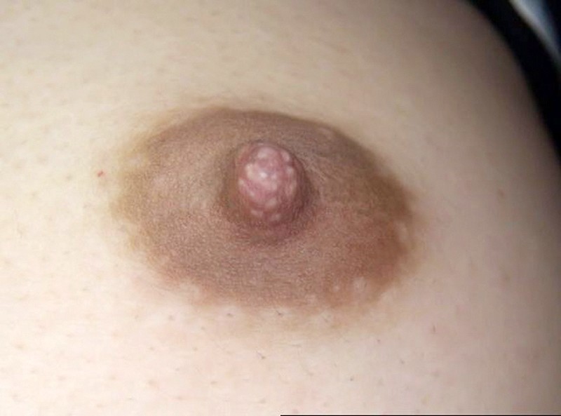 GA-334 第 1 部分 - 30 分钟