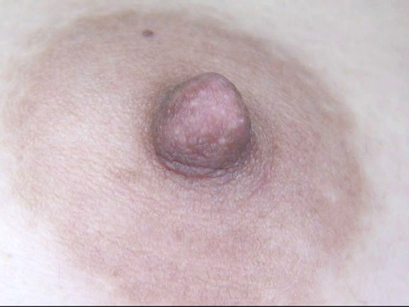 GA-341 Bagian 6 - 50 minit