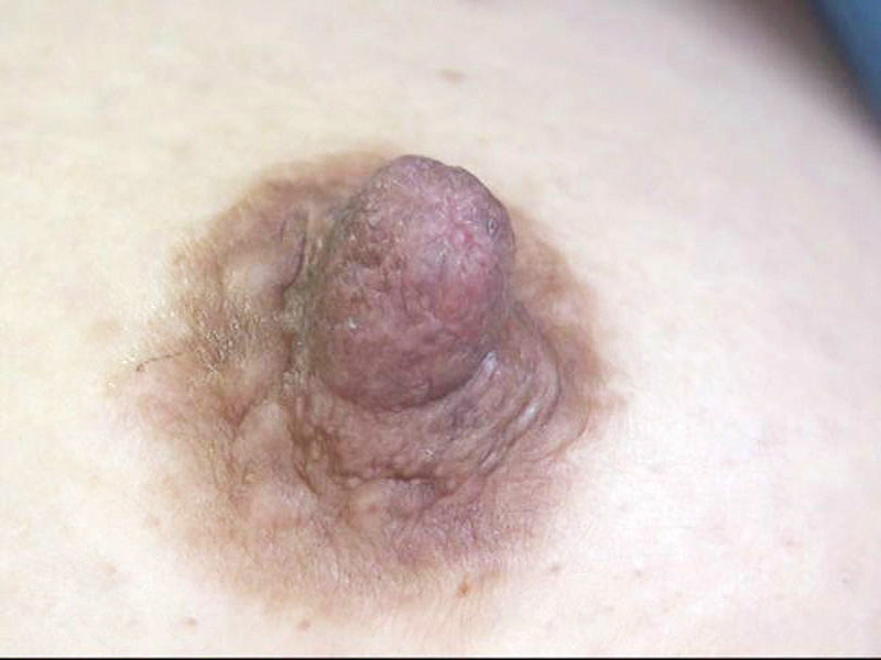 GA-341 Bagian 7 - 54 minit