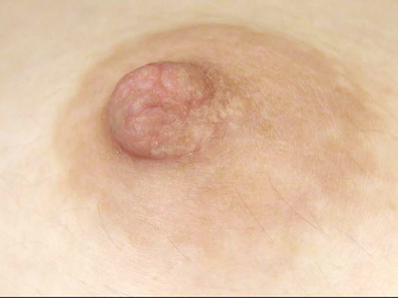 GA-341 Bagian 8 - 58 minit