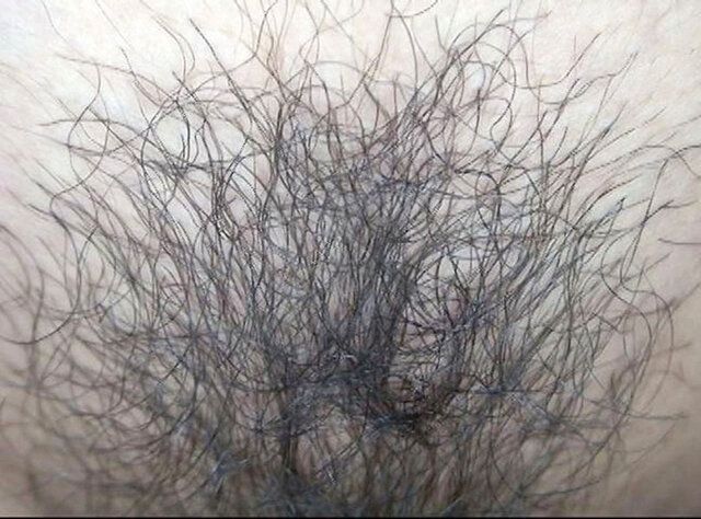 GA-343 第 10 部分 - 66 分钟