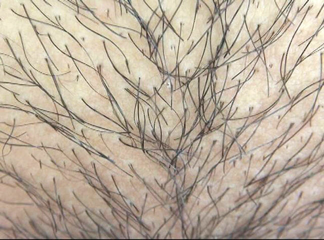 GA-343 第 12 部分 - 74 分钟