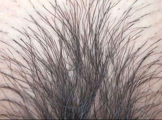 GA-343 パート 14 - 82 分