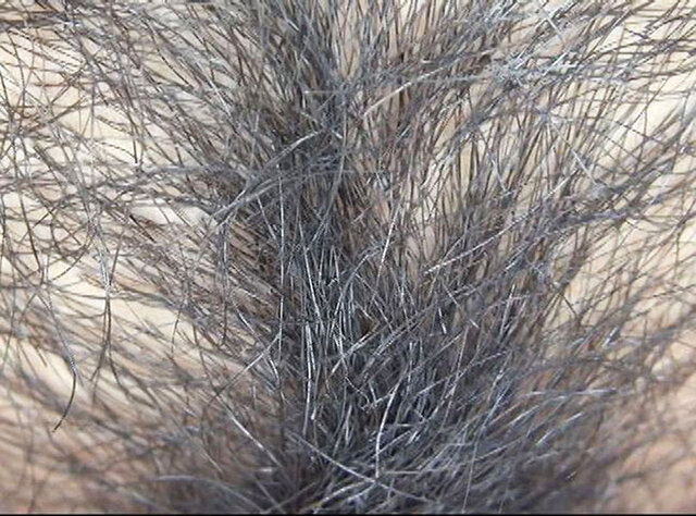 GA-343 第 2 部分 - 34 分钟