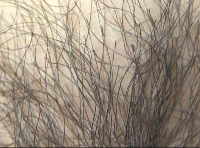 GA-343 第 20 部分 - 106 分钟