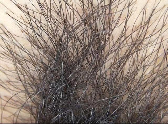 GA-343 パート 4 - 42 分