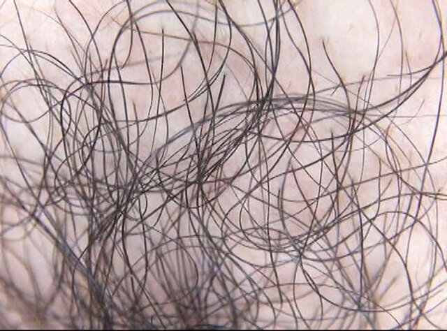 GA-343 パート 6 - 50 分