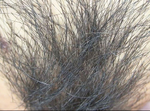 GA-343 パート 8 - 58 分