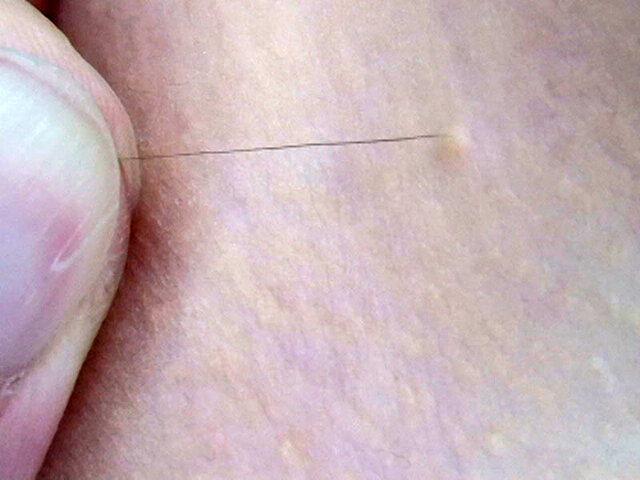 GA-345 Bagian 15 - 240 minit