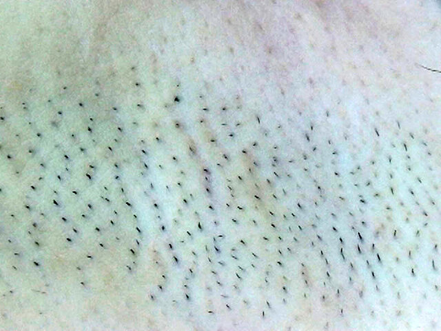 GA-345 Part 2 - 45 minutes