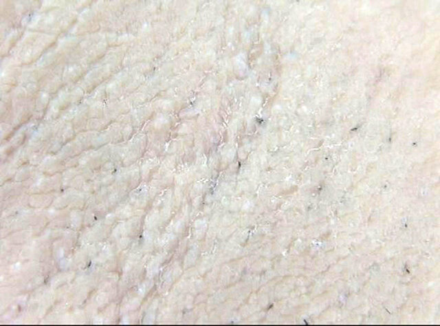 GA-347 Bagian 18 - 98 minit