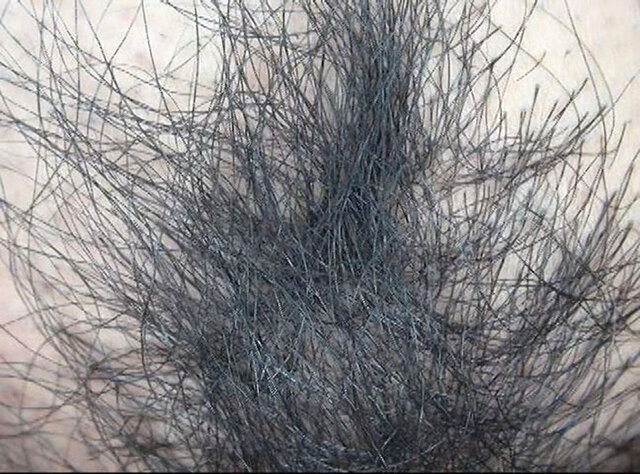 GA-350 Bagian 13 - 78 minit