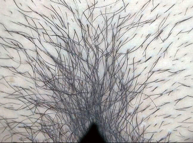 GA-350 パート 16 - 90 分