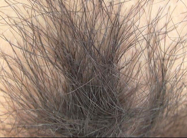 GA-350 パート 2 - 34 分