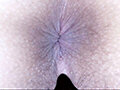 100人の尻穴 第8集 画像15