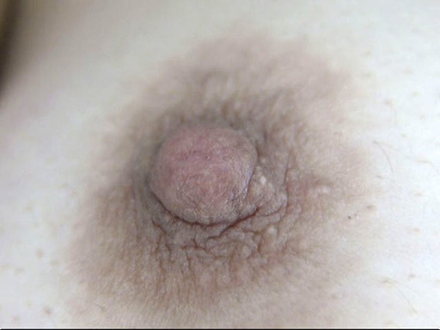 100人の乳首 第8集 20