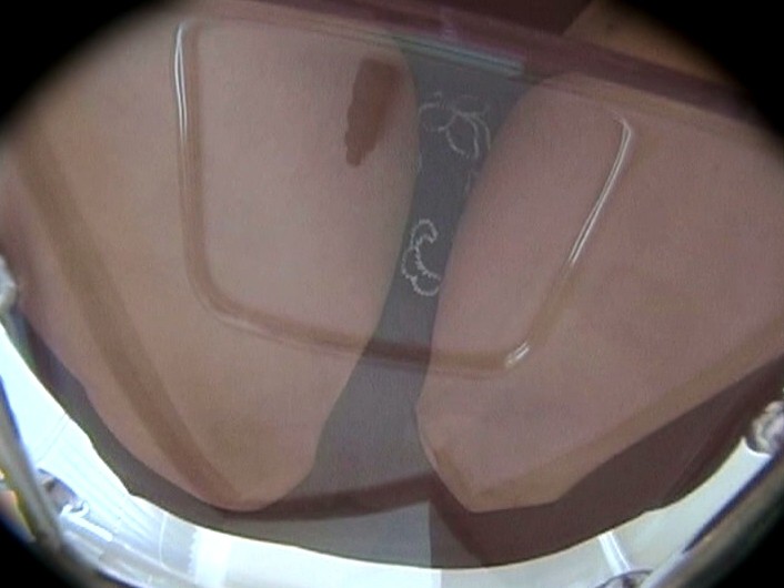 RBON-026 パート 9 - 70 分