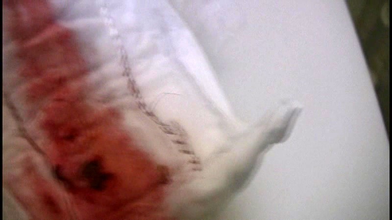 RKS-008 パート 13 - 54 分