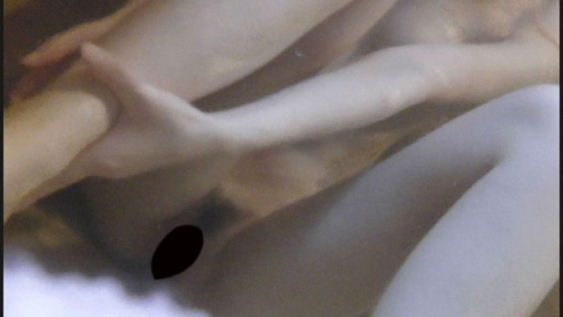 SHI-252 パート 9 - 46 分